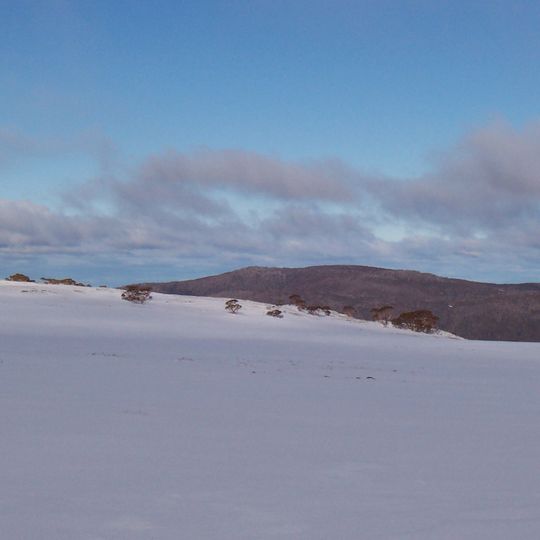 Bogong High Plains