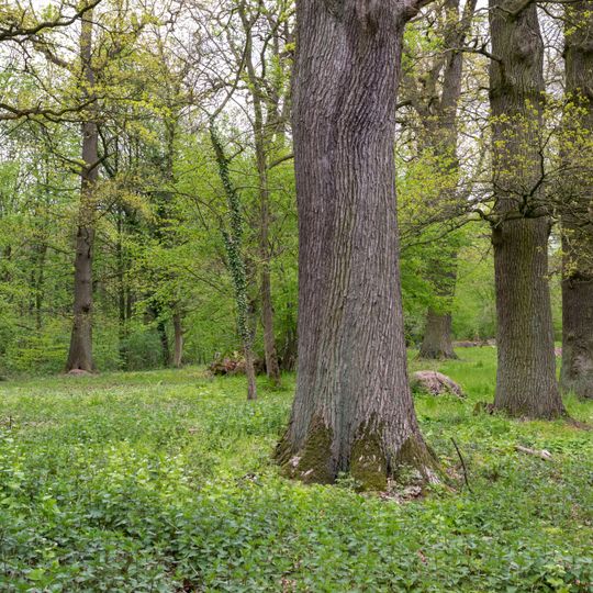 Westliches und Südliches Lipper Bergland