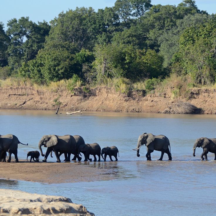 South Luangwa National Park
