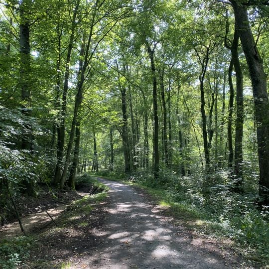 Überanger Mark - Hinkesforst