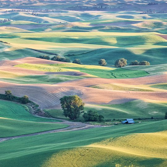 Steptoe Butte State Park