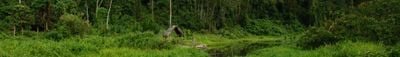 Panoramautsikt 0
