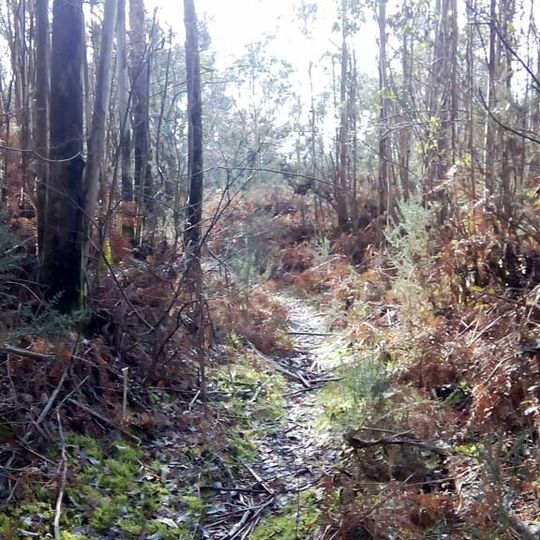 ‎Castro de Pico do Castro