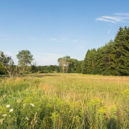 Lechheide-Sachsenwald südlich von Oberpeiching