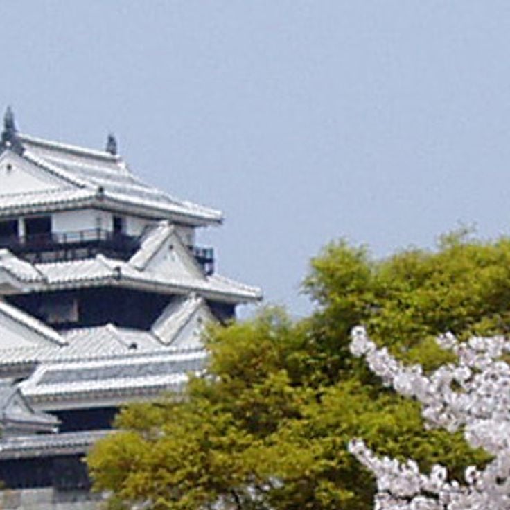 Matsuyama slott