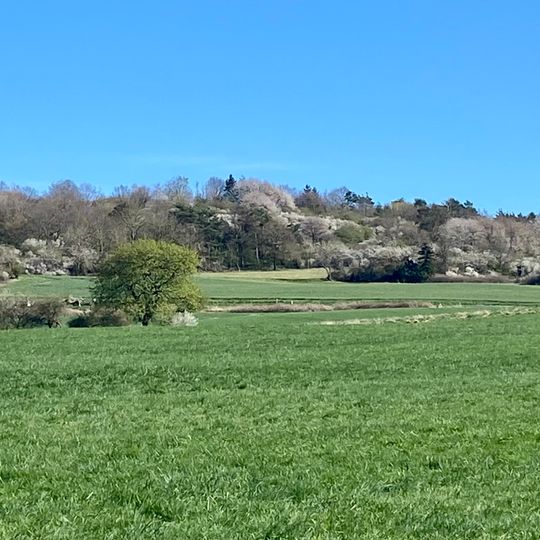 Efzepforte bei Homberg