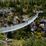 Ponte Sospeso dello Yukon