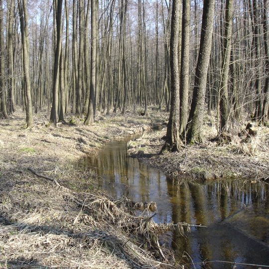 Slatinná louka u Roudničky