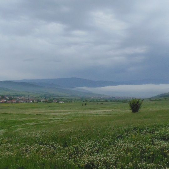 Paleontologichno nahodishte