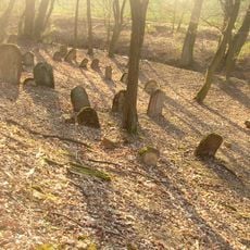 Old Jewish cemetery in Hostouň