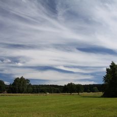 Rašeliniště u Vintířova