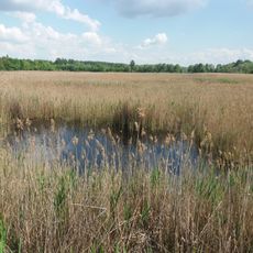 Bilovahivskyi Hydrological Reserve