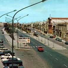 Tommaso Natale - Cardillo