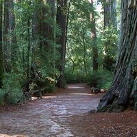 condado de Santa Cruz