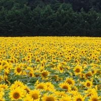 サントル＝ヴァル・ド・ロワール地域圏