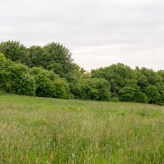 LSG-Heckenlandschaft Bellenberg-Nord