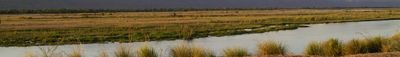 Panoramic View 0