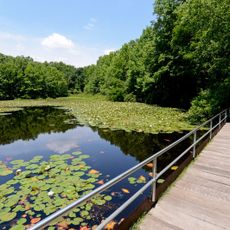 Blue Heron Park Preserve
