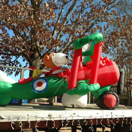 Texas State Railroad