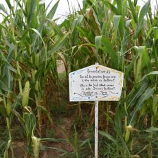 Labyrinthe de l'Ermite