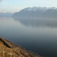 Vaud