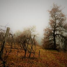 Riserva naturale speciale della Val Sarmassa
