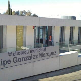 Biblioteca Pública Municipal - Felipe González