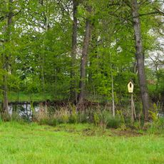 Quellteich Langebrück