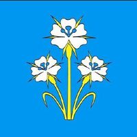 Kąkolewnica Wschodnia