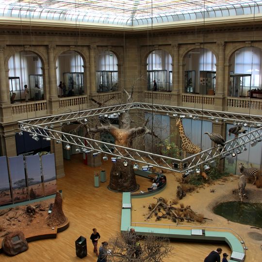 Musée Alexander-Koenig