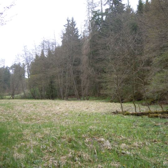 Pflanzenstandort Tränkle - Bei der Katermannshalde