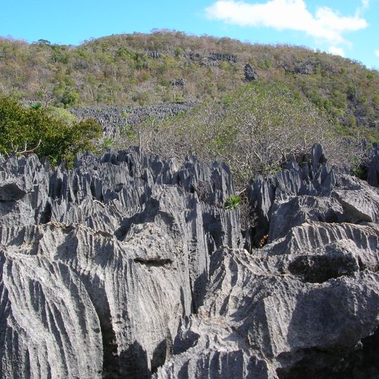 Park Narodowy Ankarana