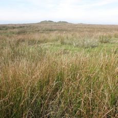 'Five Barrows', group of eight barrows