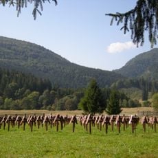 Úzvölgyi katonai temető