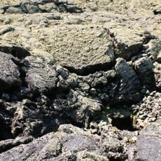 Cueva de los Naturalistas