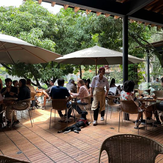 Crepes & Waffles Laureles
