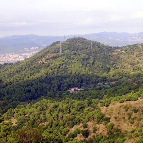 Collserola Natural Park