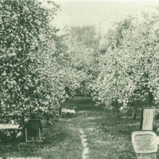 The Orchard