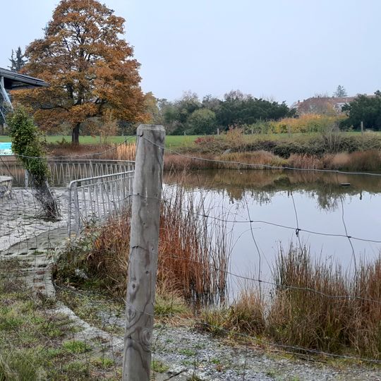 Jezírko na Kraví hoře