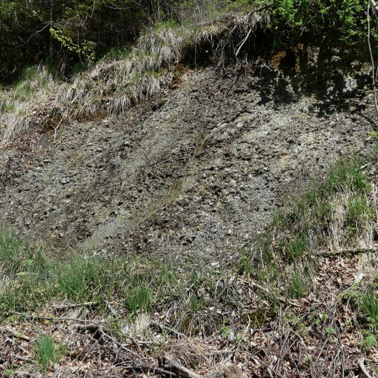 Konglomerate des Aquitan an der Blauen Wand S von Traunstein