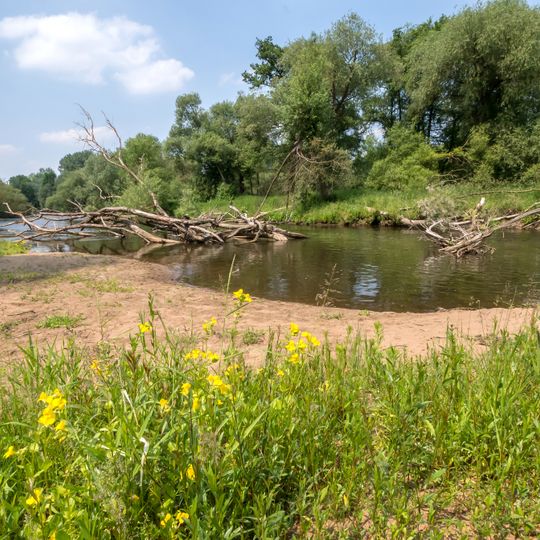 Rurauenwald-Indemündung