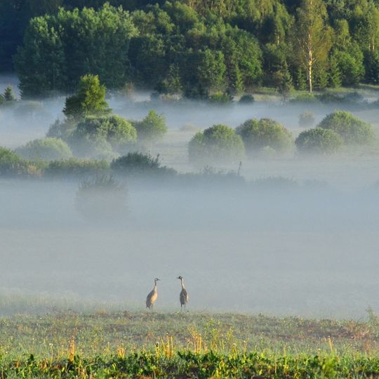 Vecpiebalga protected landscape area