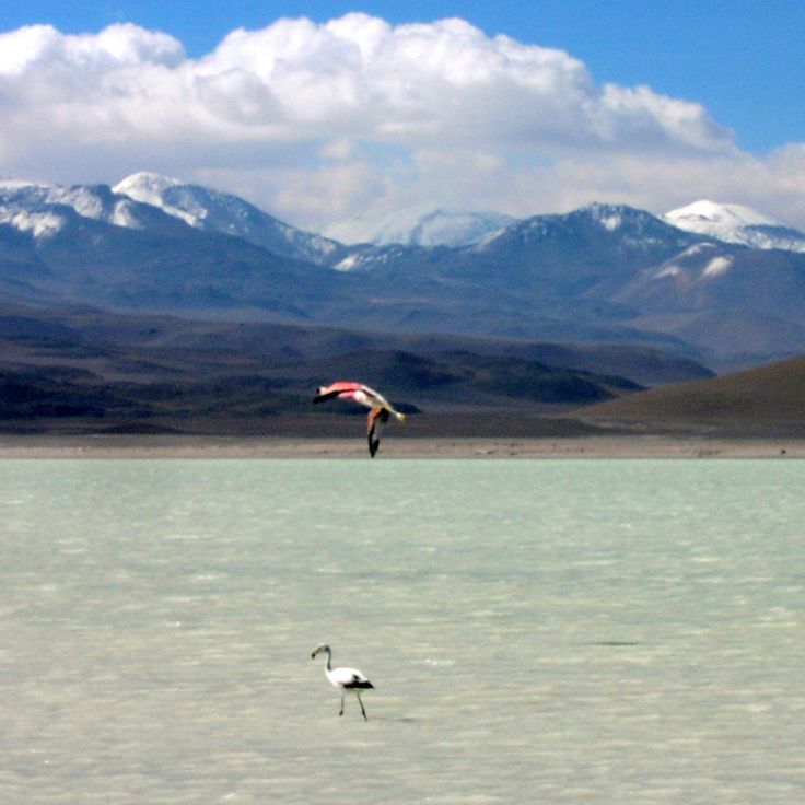 Laguna Blanca