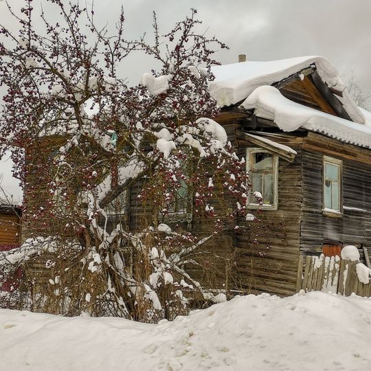 Дом Проскуряковой В.Е.