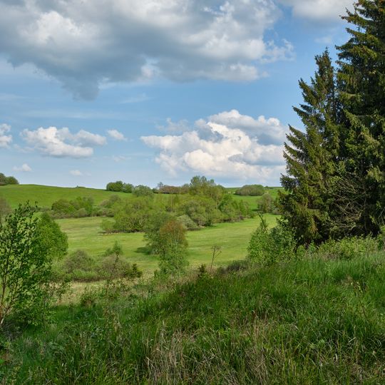 Louky u Dlouhé Lomnice