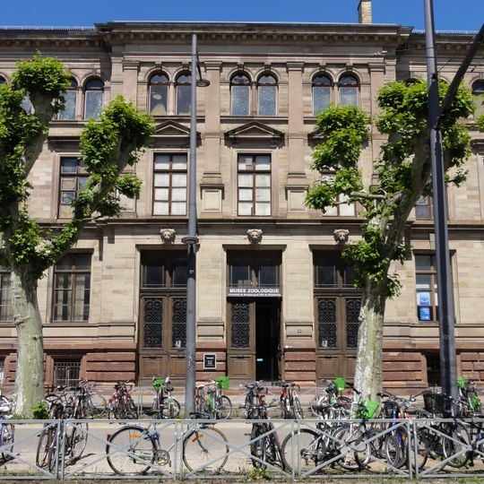 Museo zoologico della città di Strasburgo