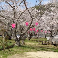 相原公園