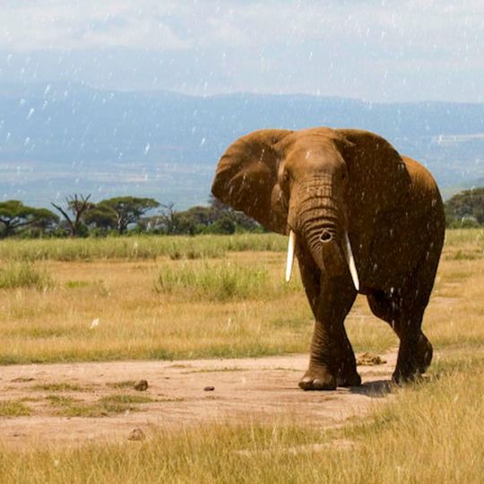 Parc national de Manda