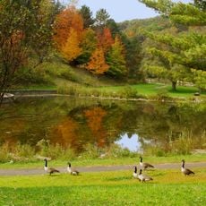 Deer Lakes Park
