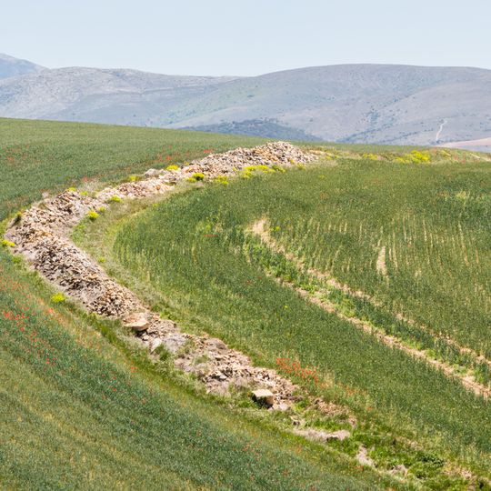 Yacimiento de Augustóbriga